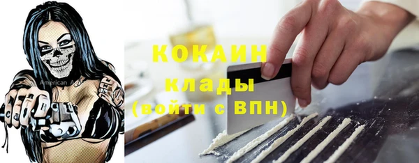 гидра Новодвинск