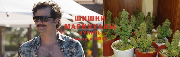 спайс Новозыбков