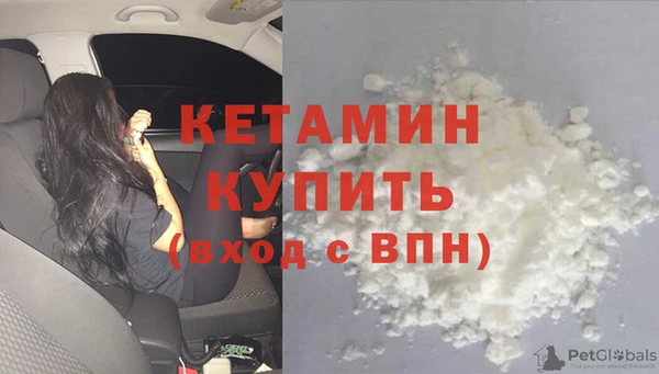 гидра Новодвинск