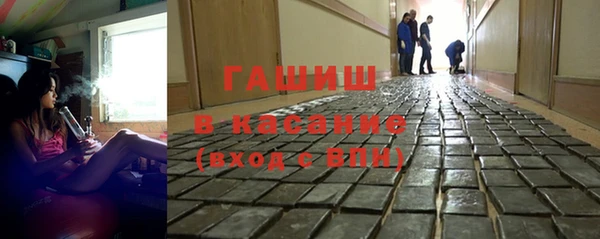 гидра Новодвинск
