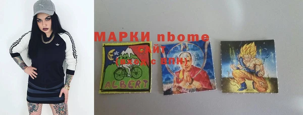 гидра Новодвинск