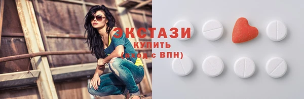 гидра Новодвинск