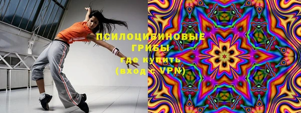гидра Новодвинск
