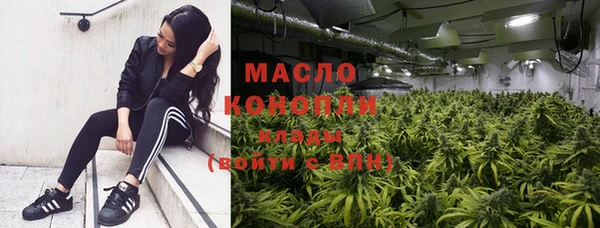 гидра Новодвинск