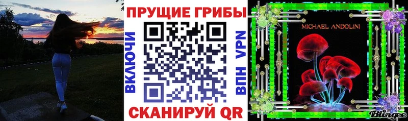 Псилоцибиновые грибы GOLDEN TEACHER  Пугачёв 